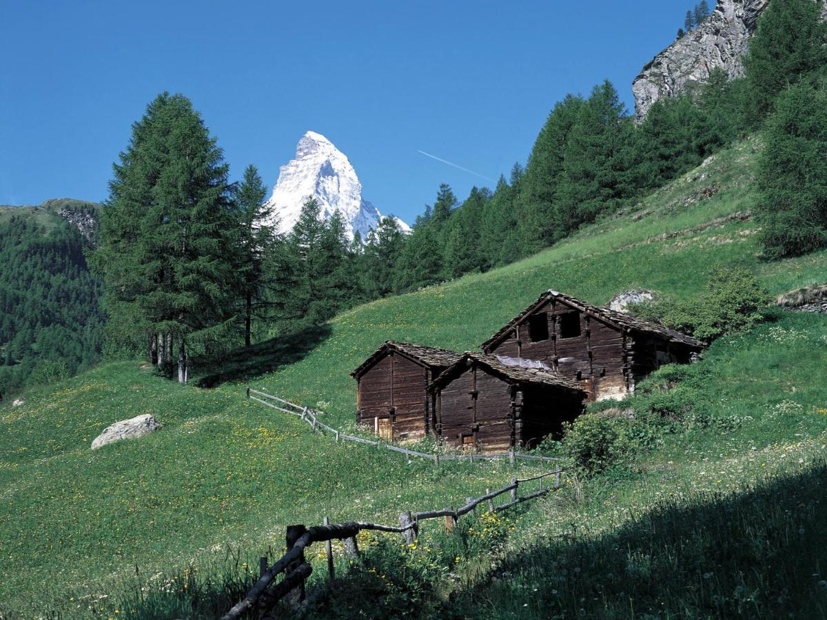 Apartment Hubertus-1 By Interhome Zermatt Eksteriør billede